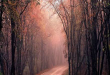 北青:日本提前出线后完全可以练兵,影响中国队的竞争前景.