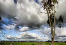 向鹏3-0力克奥玛-阿萨尔,晋级WTT仁川冠军赛男单16强.