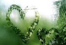 九游会官网:里萨谢次节发威连得9分,率领老鹰轰出11-0攻击波.