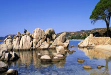 九游会官网:东体:国足外籍教练团队中有专门负责塞尔吉尼奥训练的助教.